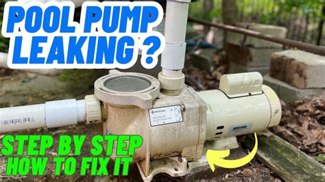 above ground pool pump leaking|Fix Your Leaking Above Ground Pool: Step